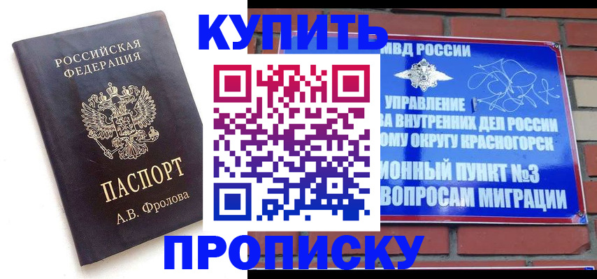 прописка поиск в Купино